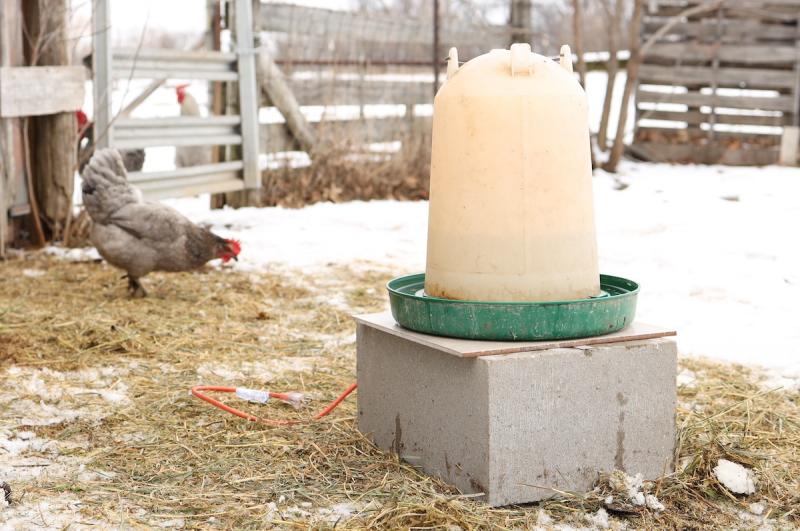 9. Drewniany karmnik dla kurczaków od Backyard Chickens