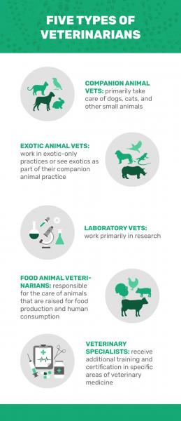 4. Rodzaje lekarzy weterynarii dzielą się zazwyczaj na 5 podstawowych kategorii: zwierzęta towarzyszące, zwierzęta egzotyczne, żywność i zwierzęta gospodarskie, laboratoria i specjaliści weterynaryjni.