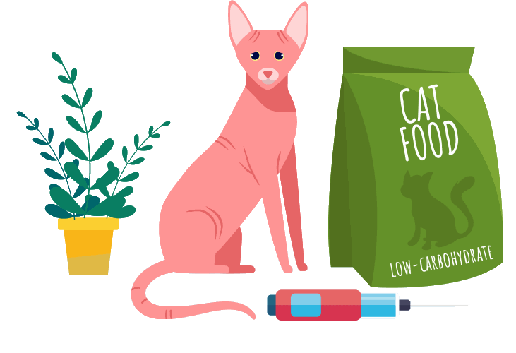 10 pokarmów, które można podawać kotu choremu na cukrzycę