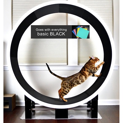 1. PawHut Cat Tree Activity Condo & Hamster Wheel - Najlepszy ogólnie