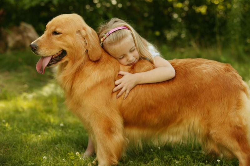 10 najlepszych ras psów dla dzieci i rodzin: ze zdjęciami