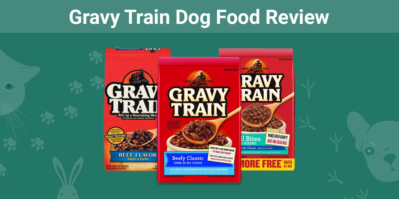 Recenzja karmy dla psów Gravy Train 2024: Wycofane produkty, zalety i wady