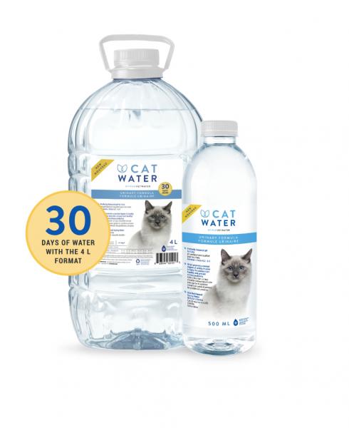 Różne rodzaje wody dla kotów