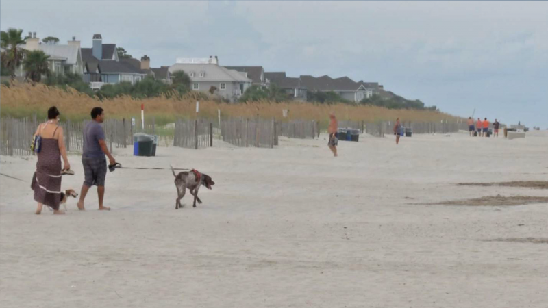 4. South Beach: South Beach to kolejny popularny wybór dla właścicieli psów, z szeroką piaszczystą plażą i zasadami dotyczącymi smyczy. Ty i Twój pies możecie cieszyć się spokojnym spacerem wzdłuż brzegu, zanurzyć się w oceanie lub po prostu zrelaksować się i rozkoszować słońcem. W pobliżu znajduje się także kilka restauracji i kawiarni z miejscami do siedzenia na świeżym powietrzu, które są przyjazne psom.