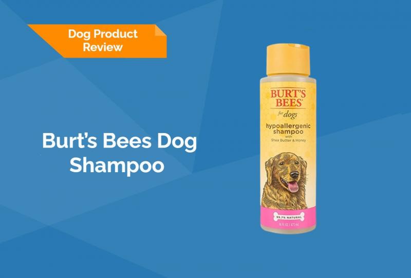 Czy produkty dla zwierząt Burt's Bees są testowane na zwierzętach?