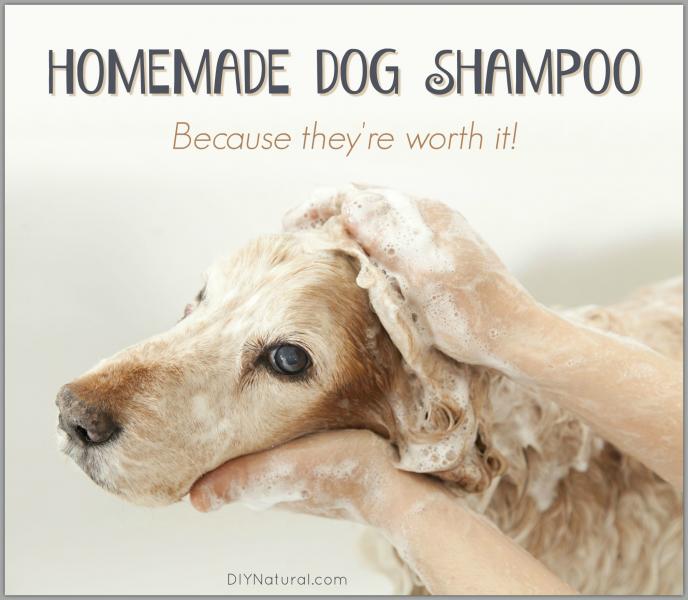 5. Super-naturalny szampon