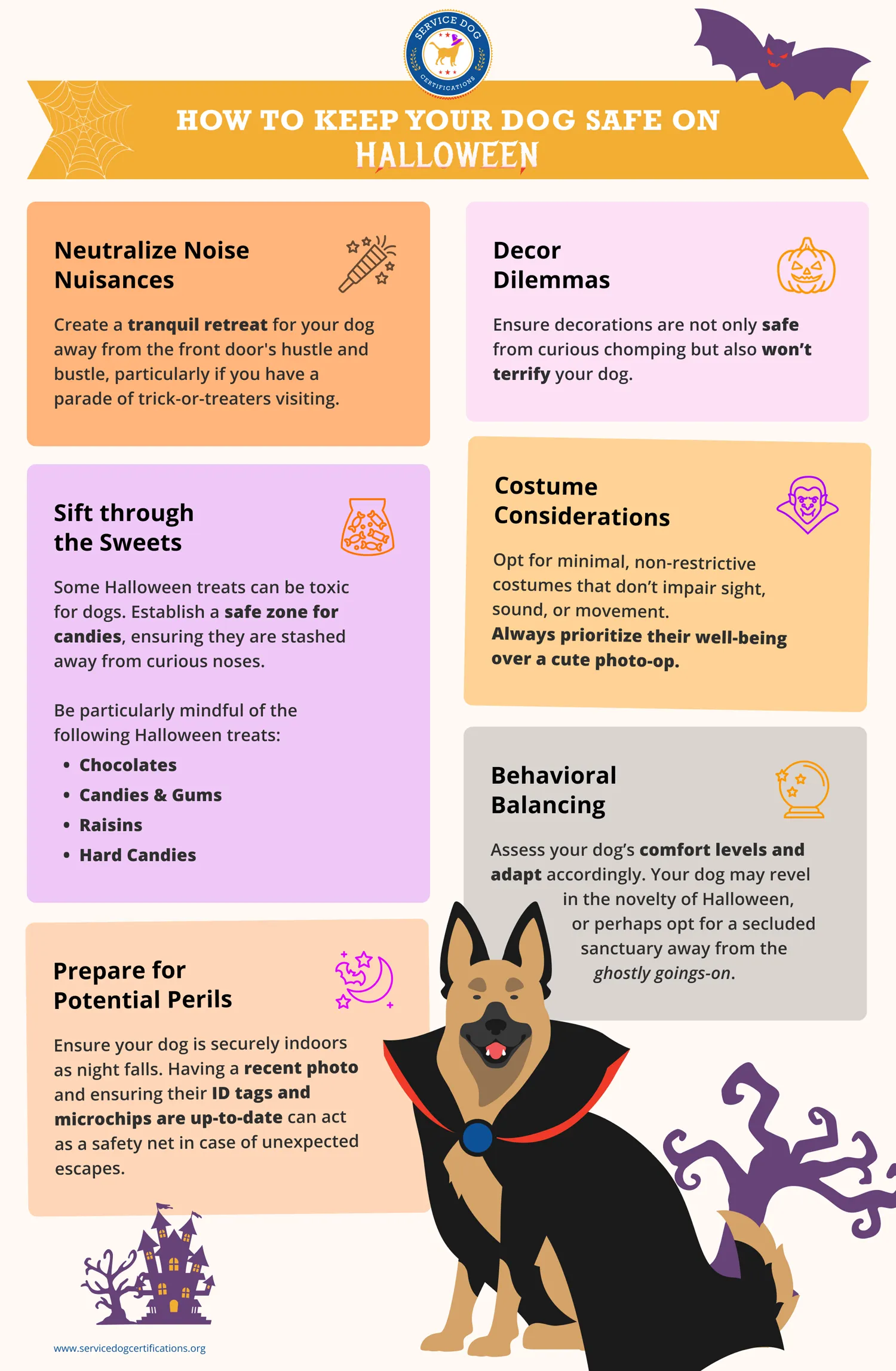 10 Halloweenowych wskazówek bezpieczeństwa dla psów: przewodnik, jak chronić swojego zwierzaka