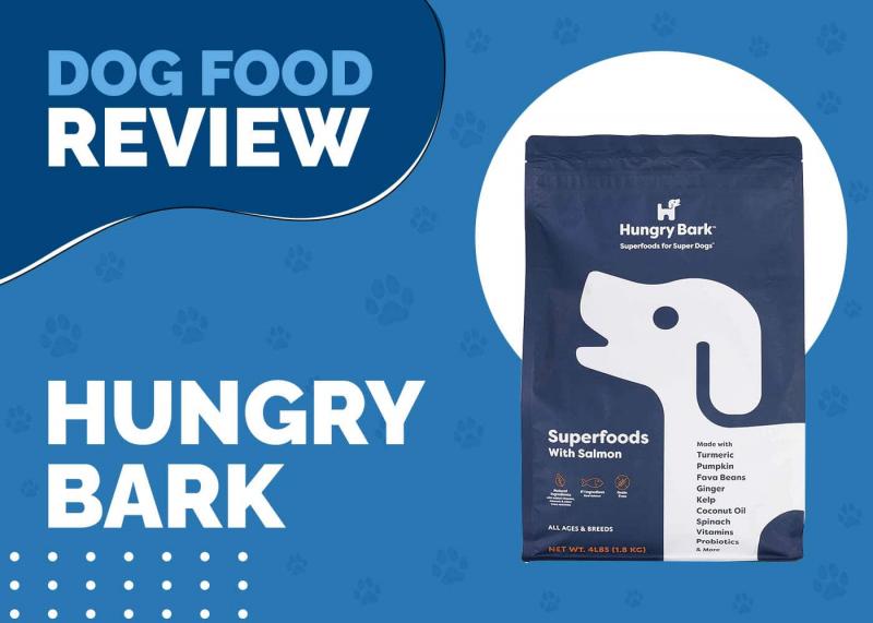 Recenzja karmy dla psów Hungry Bark