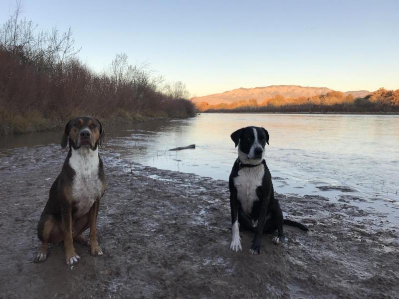 1. Bud Warren & Lady Dog Park