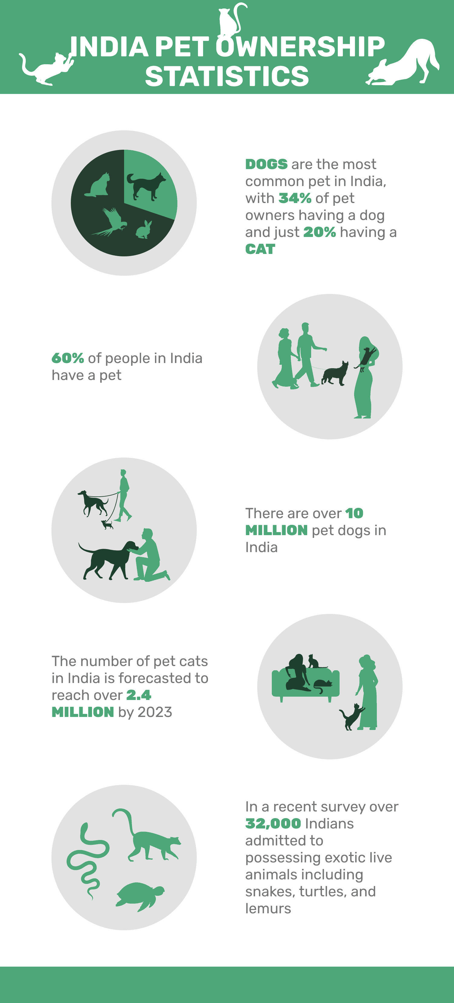 14 Statystyki dotyczące posiadania zwierząt domowych w Indiach w 2024 r.