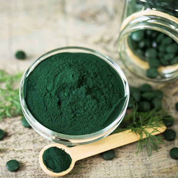 O której godzinie powinienem podawać Spirulinę mojemu psu?