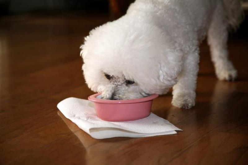 3. Merrick Lil' Plates Bezzbożowa sucha karma dla psów z wołowiną i słodkimi ziemniakami