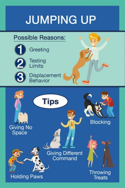 3 powody, dla których psy skaczą na ludzi