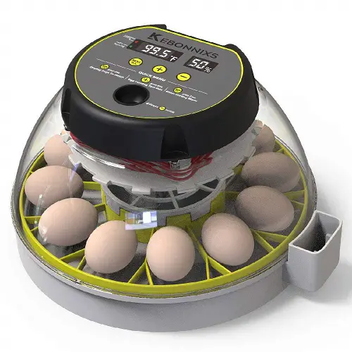 5. Inkubator jaj dla gadów R-Com PX-R90 Juragon Pro