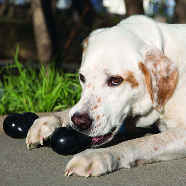 2. Chuckit! Ultra Rubber Ball Tough Dog Toy - najlepsza wartość