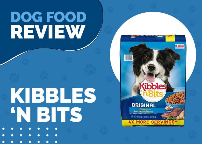 Przegląd karmy dla psów Kibbles 'n Bits 2024: Wycofanie z rynku, zalety i wady