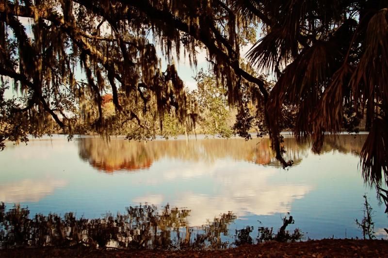 undefined6. Forest Park: Położony na obrzeżach Gainesville, Forest Park oferuje spokojną ucieczkę od miejskiego zgiełku. Ten park dla psów oferuje akry otwartej przestrzeni, w której psy mogą swobodnie biegać i wędrować. W parku znajduje się również malowniczy szlak turystyczny, na którym ty i twój futrzany przyjaciel możecie cieszyć się spokojnym spacerem na łonie natury.