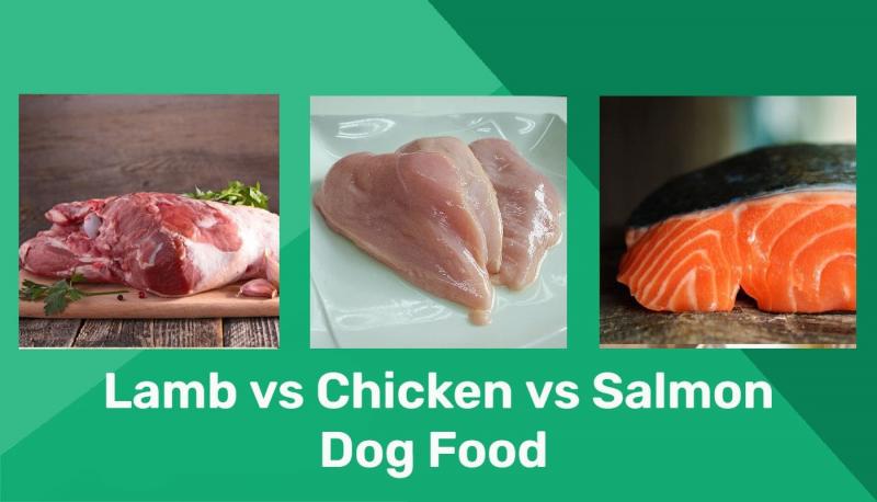 Karma dla psów z jagnięciną, kurczakiem i łososiem: Plusy, minusy i różnice