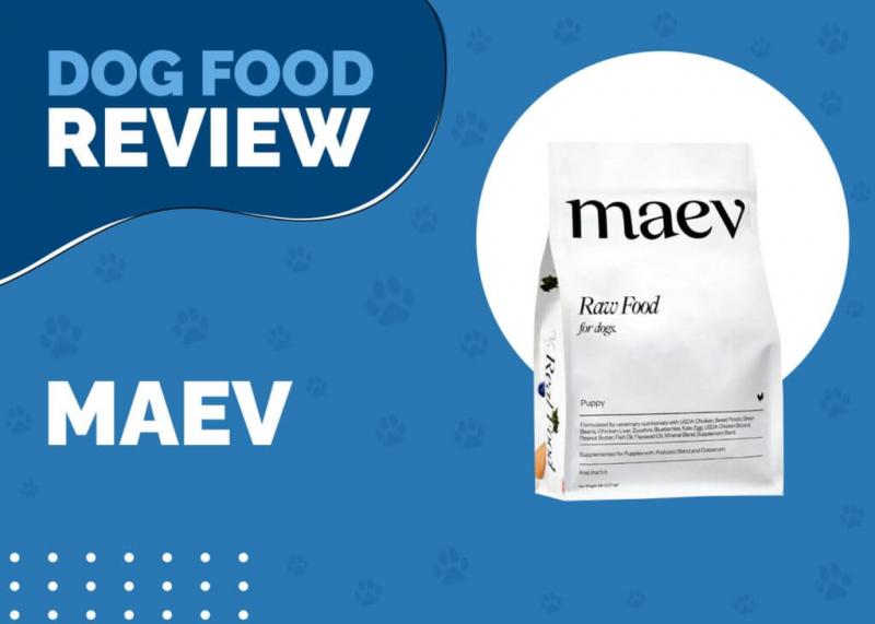 Maev Dog Food Review 2024: Wycofane produkty, zalety i wady