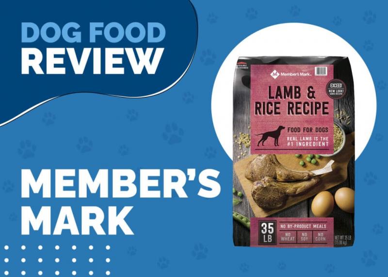 Member's Mark Dog Food Review 2024: Plusy, minusy, wycofanie z rynku i najczęściej zadawane pytania