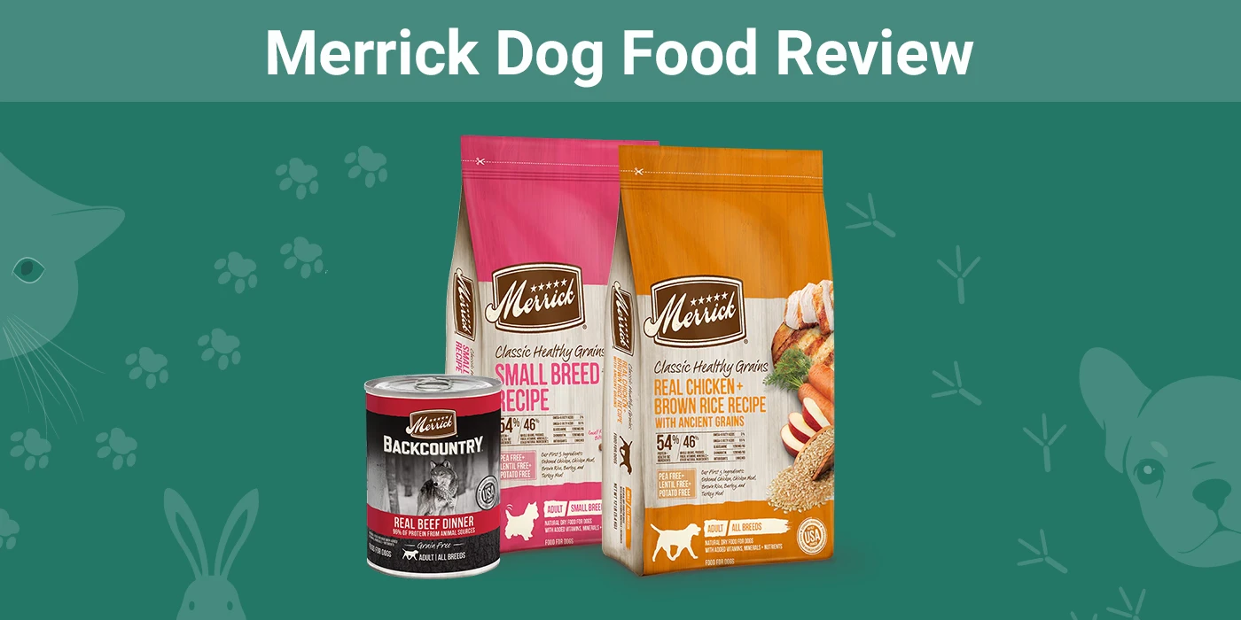 Przegląd karmy dla psów Merrick 2024: Wycofania, zalety i wady