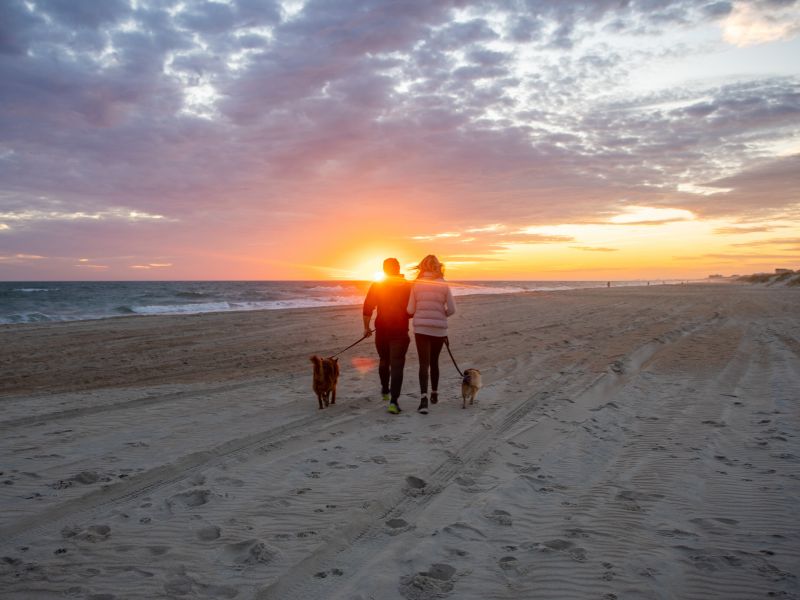 4 najpopularniejsze plaże przyjazne psom w Wilmington, NC 2024: Miejsca do biegania bez smyczy i na smyczy