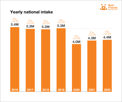 10. W 2019 roku Delaware stało się pierwszym stanem w USA, w którym nie zabija się zwierząt.