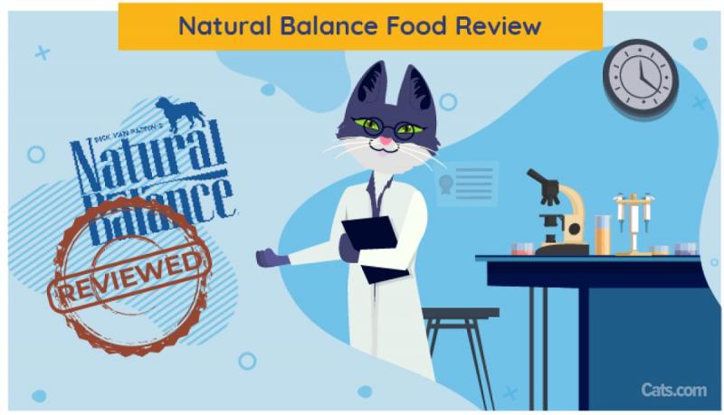 Przegląd karmy dla psów Natural Balance 2024: Wycofane produkty, zalety i wady