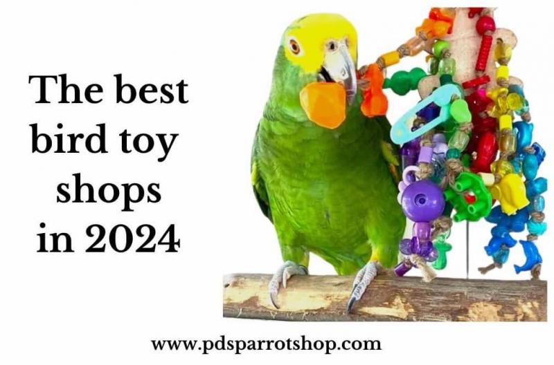10 najlepszych zabawek dla ptaków w 2024 roku - recenzje i najlepsze wybory