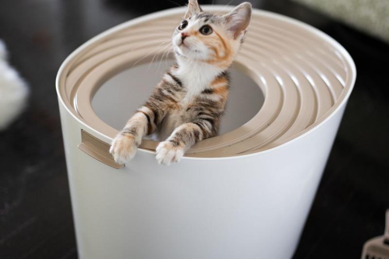 1. Frisco High Sided Cat Litter Box - najlepsza ogólnie