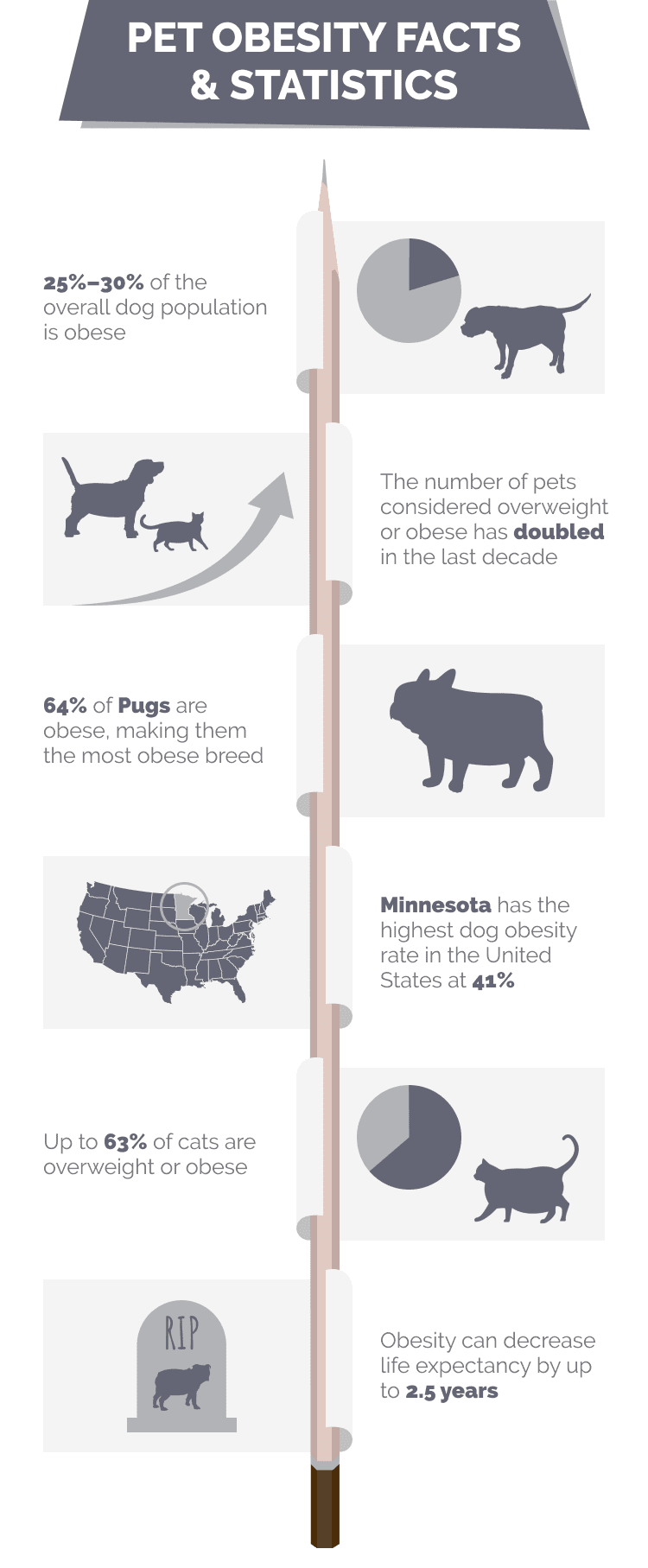 10 statystyk dotyczących otyłości zwierząt domowych w 2024 roku: Psy, koty i inne zwierzęta domowe