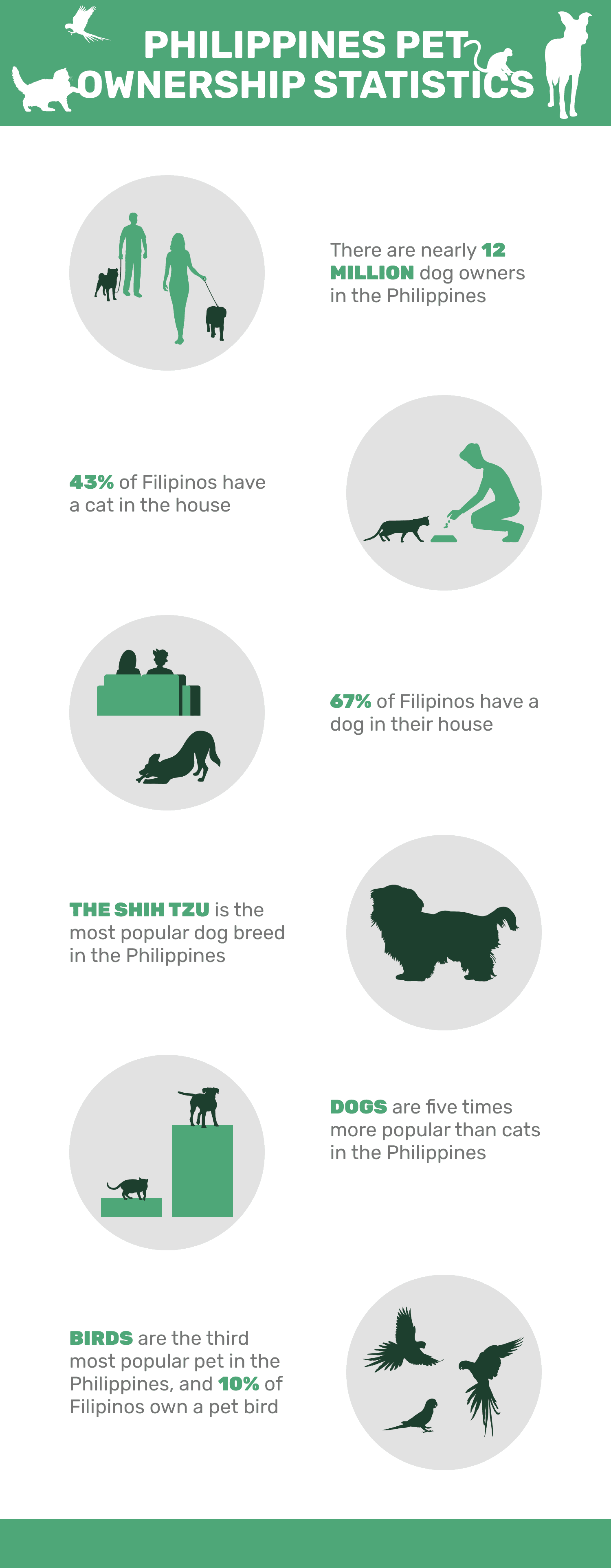 4. Shih Tzu to najpopularniejsza rasa psów.