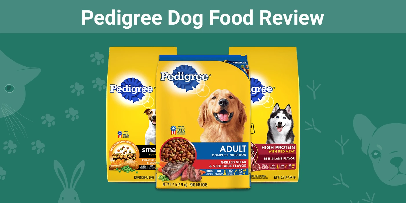 Essence Dog Food Review 2024: Wycofanie z rynku, zalety i wady