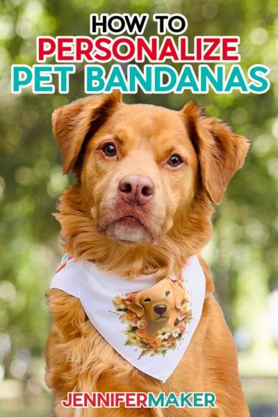 10 DIY planów bandan dla psów, które możesz wykonać już dziś (ze zdjęciami)