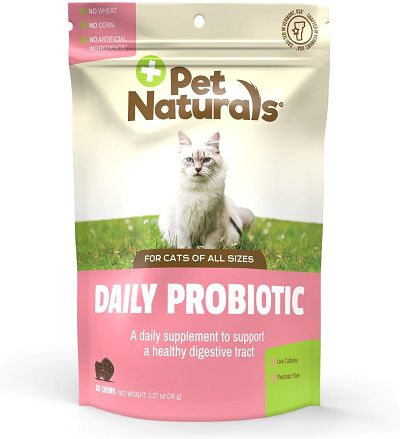 Czy koty mogą mieć za dużo probiotyków?