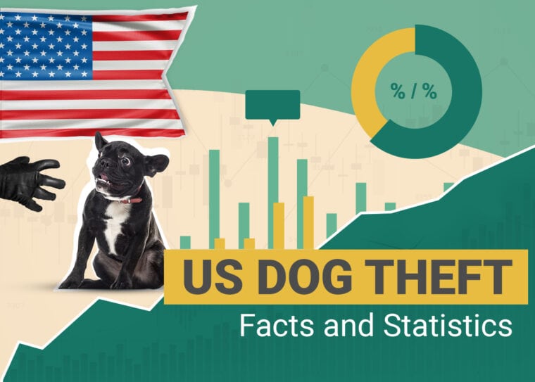 10 statystyk dotyczących porwań i kradzieży psów