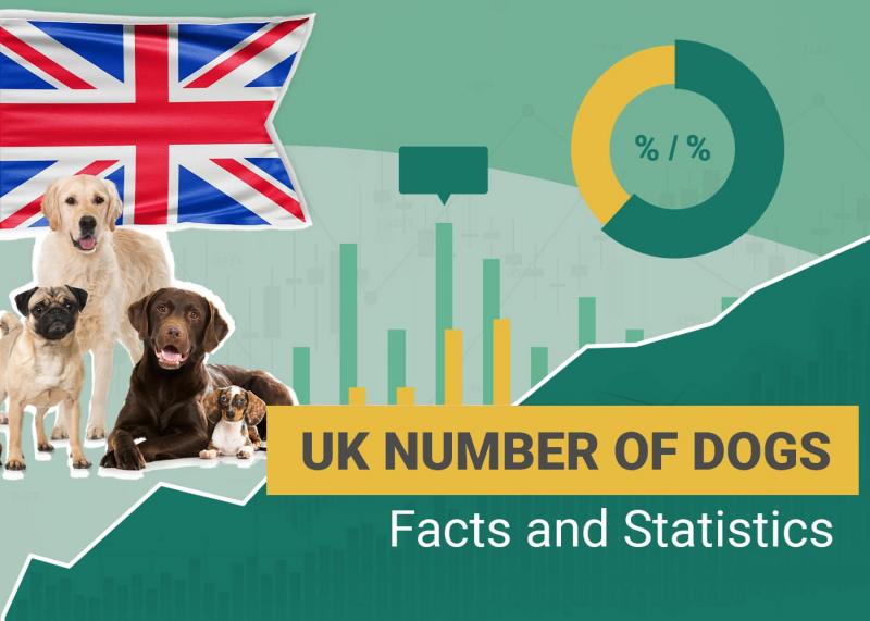 Ile psów jest w Wielkiej Brytanii? Statystyki i fakty 2024