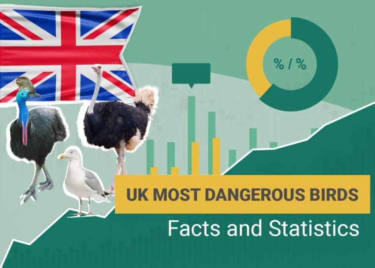 8 najbardziej niebezpiecznych ptaków w Wielkiej Brytanii: Statystyki do poznania w 2024 r.