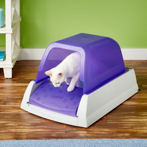 2. Tidy Cats Instant Action Clay Cat Litter - najlepsza wartość