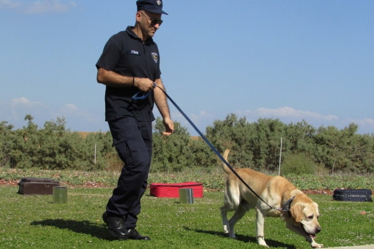 Jakie są kwalifikacje/wymagania dla treserów psów policyjnych?