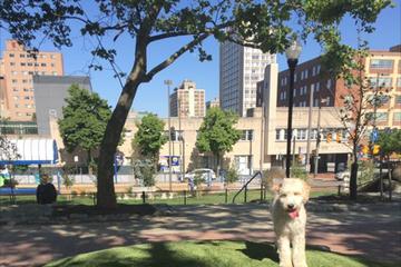 3. Locust Point Dog Park: Położony w uroczej dzielnicy Locust Point, ten park dla psów jest ukrytym klejnotem. Z oddzielnymi obszarami dla nieśmiałych lub małych psów i bardziej energicznych szczeniąt, Locust Point Dog Park zaspokaja potrzeby każdego psa. W parku znajduje się również pompa wodna i mnóstwo miejsc do siedzenia dla właścicieli psów.