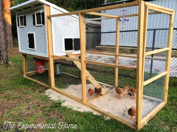 19 Planów Wybiegów dla Kurczaków DIY, które możesz wykonać już dziś (ze zdjęciami)