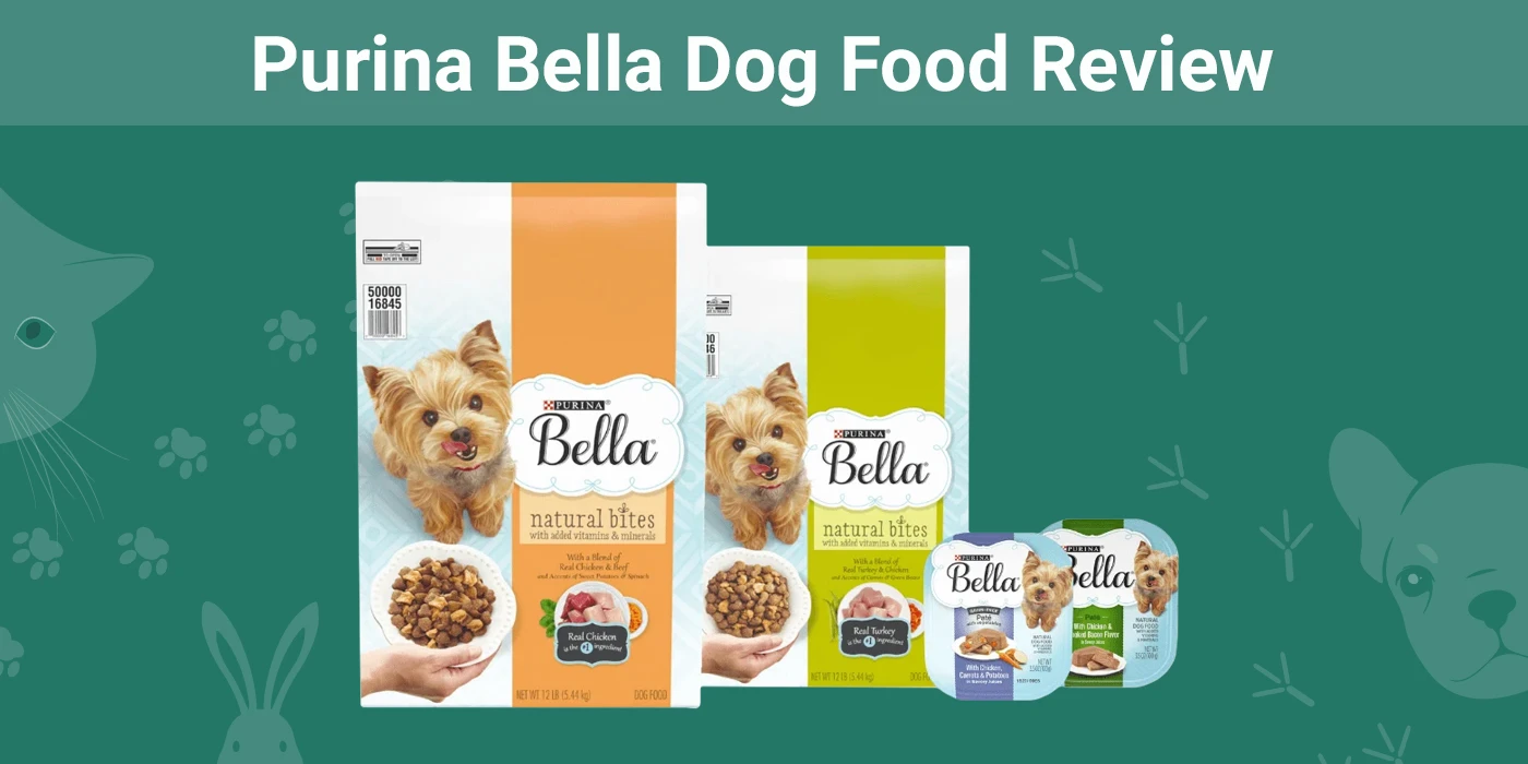 Przegląd karmy dla psów Purina Bella 2024: Recalls, Plusy i minusy