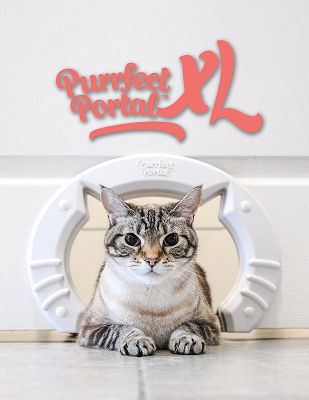 10. Freedom Pet Pass Izolowane drzwiczki dla kota