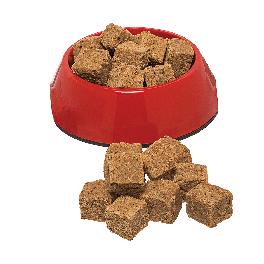 Redbarn Dog Food Review 2024: Opinia naszego eksperta