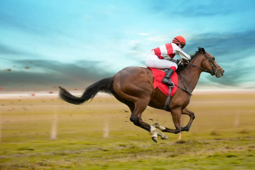 Wyścigi Quarter Horse