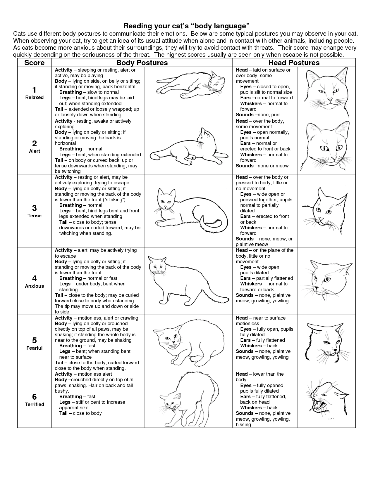 3. Oznaki strachu i niepokoju