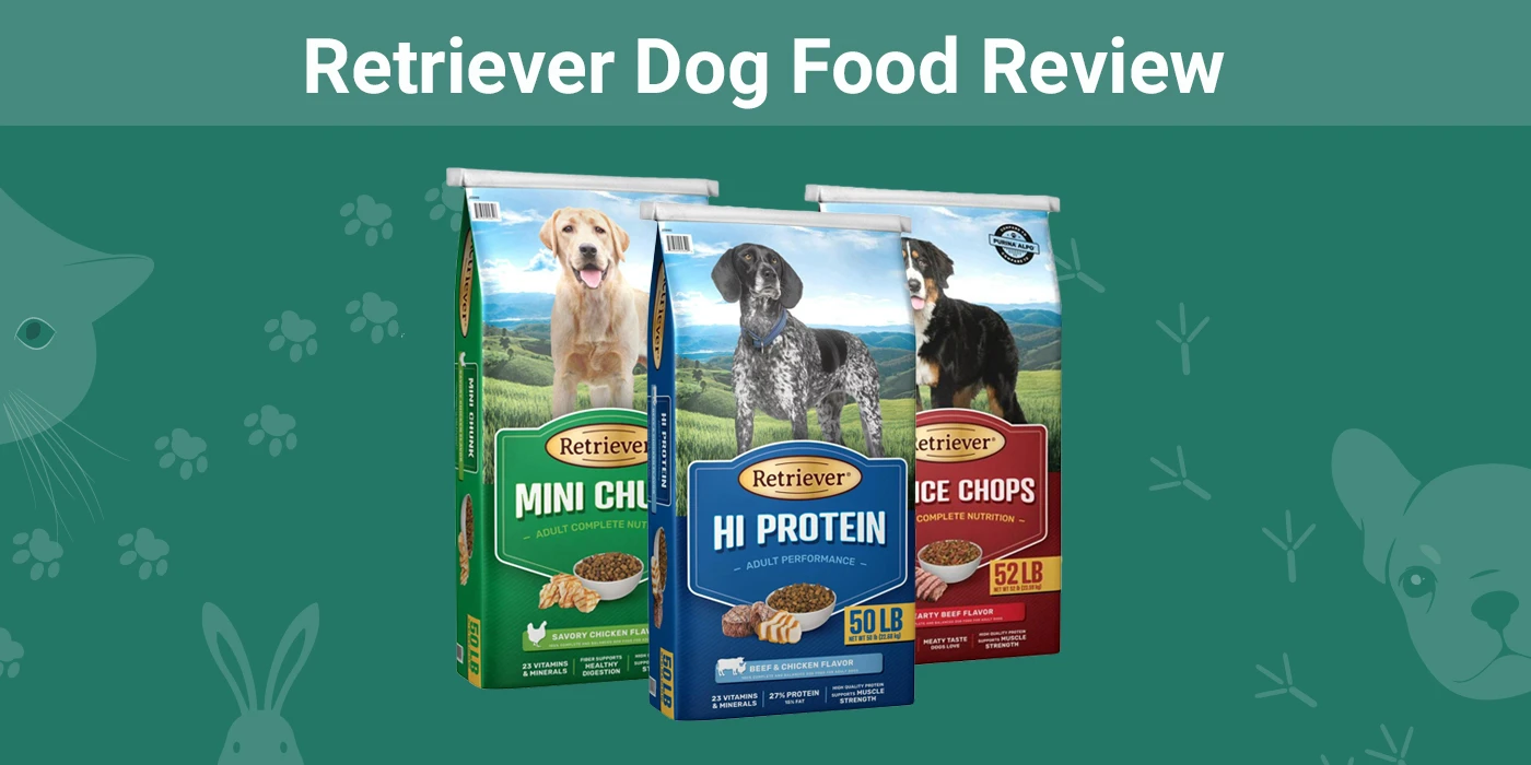 Przegląd karmy dla psów Retriever 2024: Plusy, minusy i wycofanie z rynku