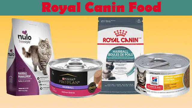 Zalety karmy dla psów Royal Canin: