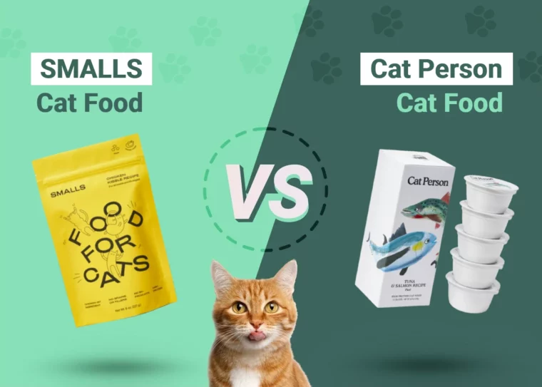 Porównanie Smalls i Cat Person Fresh Cat Food 2024: Co jest lepsze?